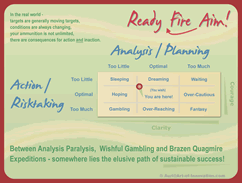Balancing Analysis/Planning with Action/Risk Taking